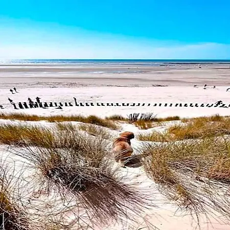 Hotell House In France Near The Coast Berck